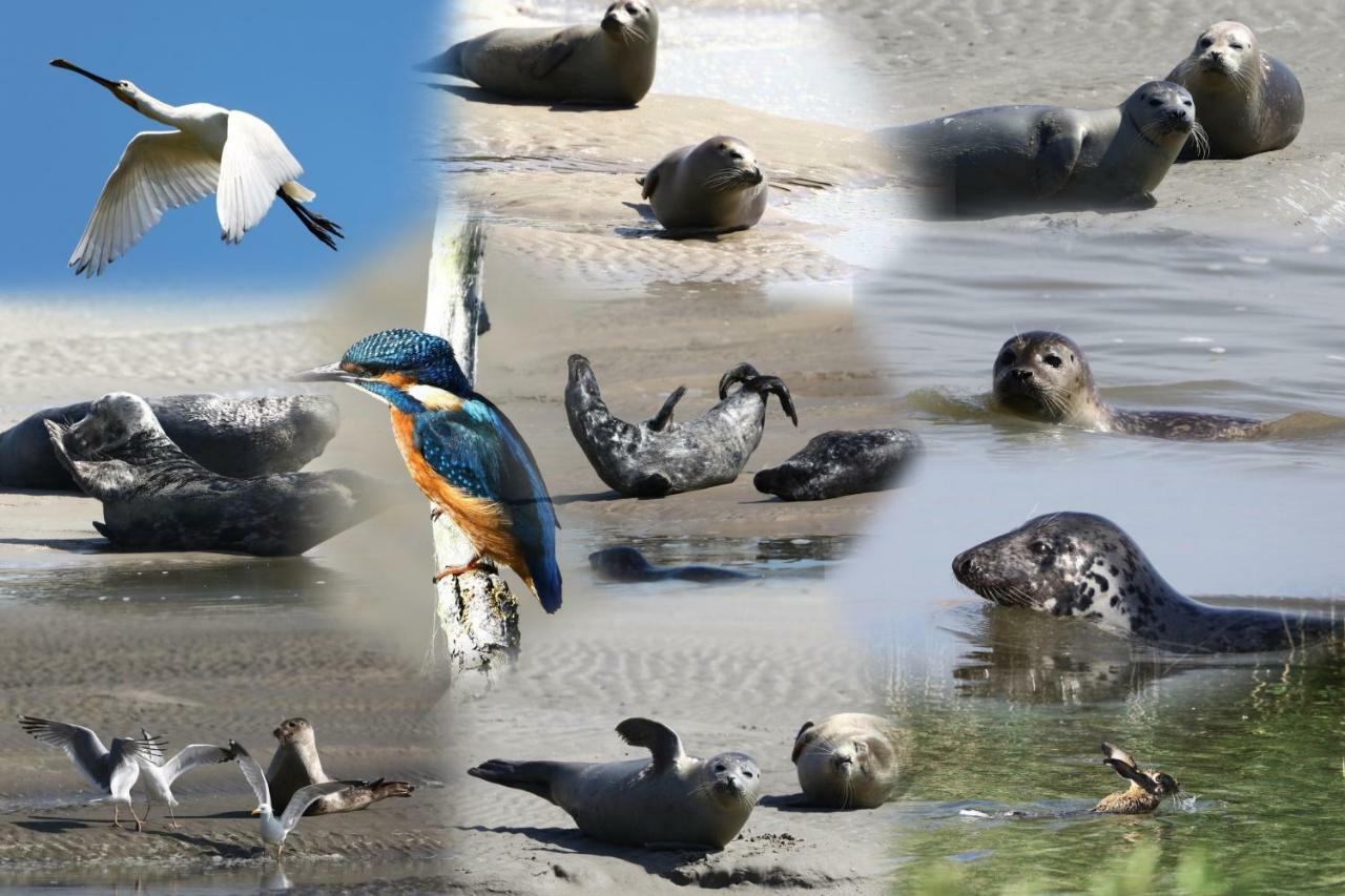 L Imperatrice Panzió Berck Kültér fotó